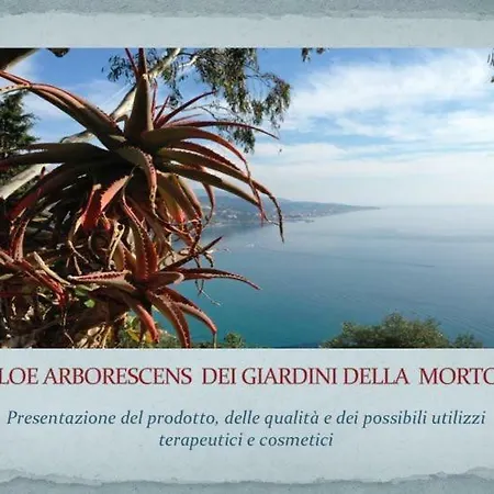 Holiday home The Loft Ventimiglia