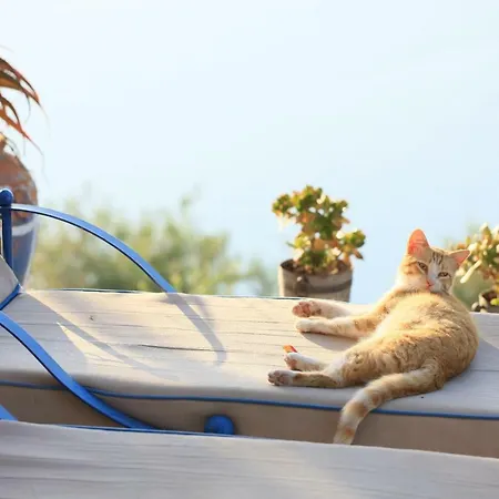 The Loft Holiday home Ventimiglia